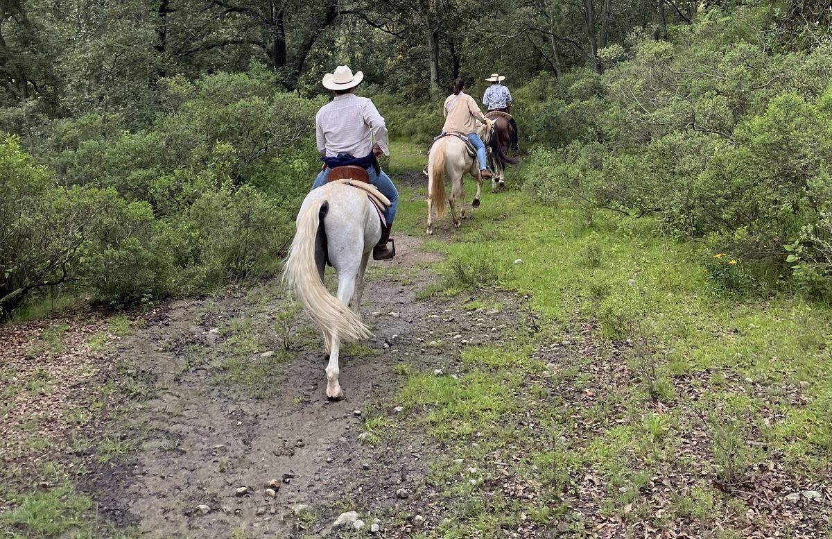 Cabalgata por senderos de La Purísima