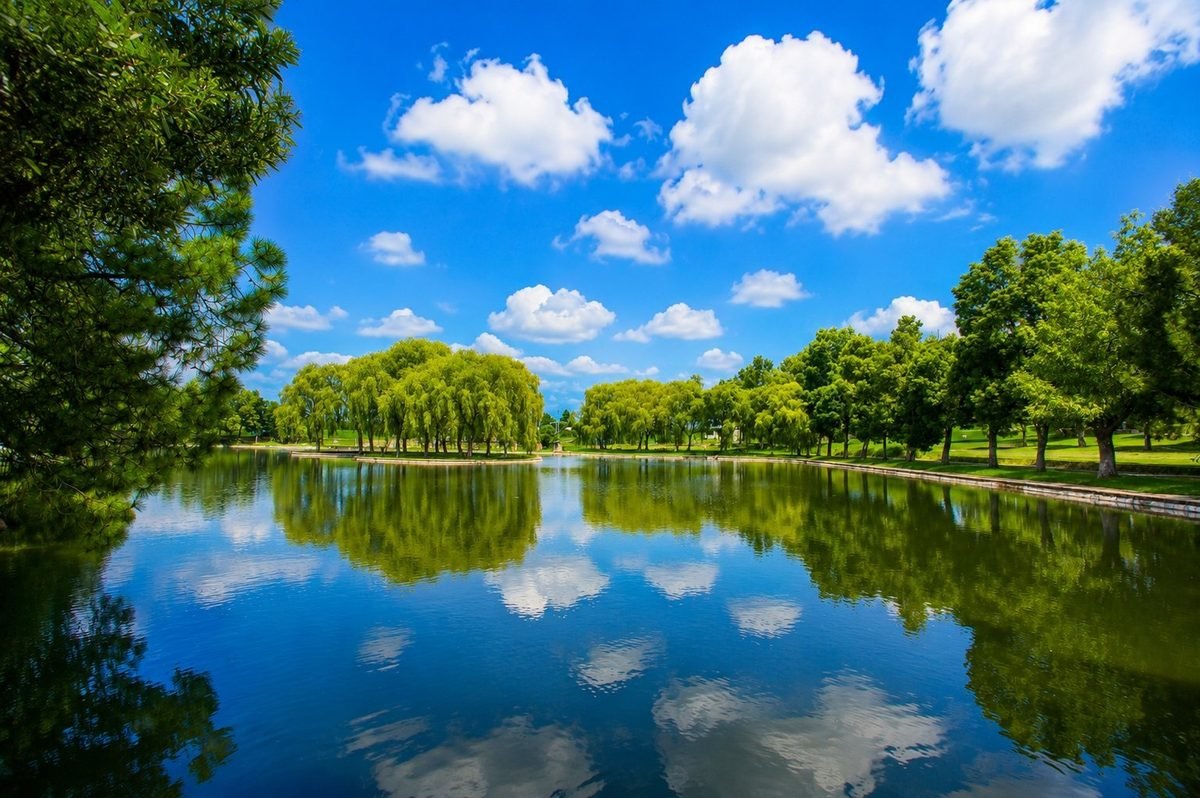 Lago con sauces llorones en La Purísima