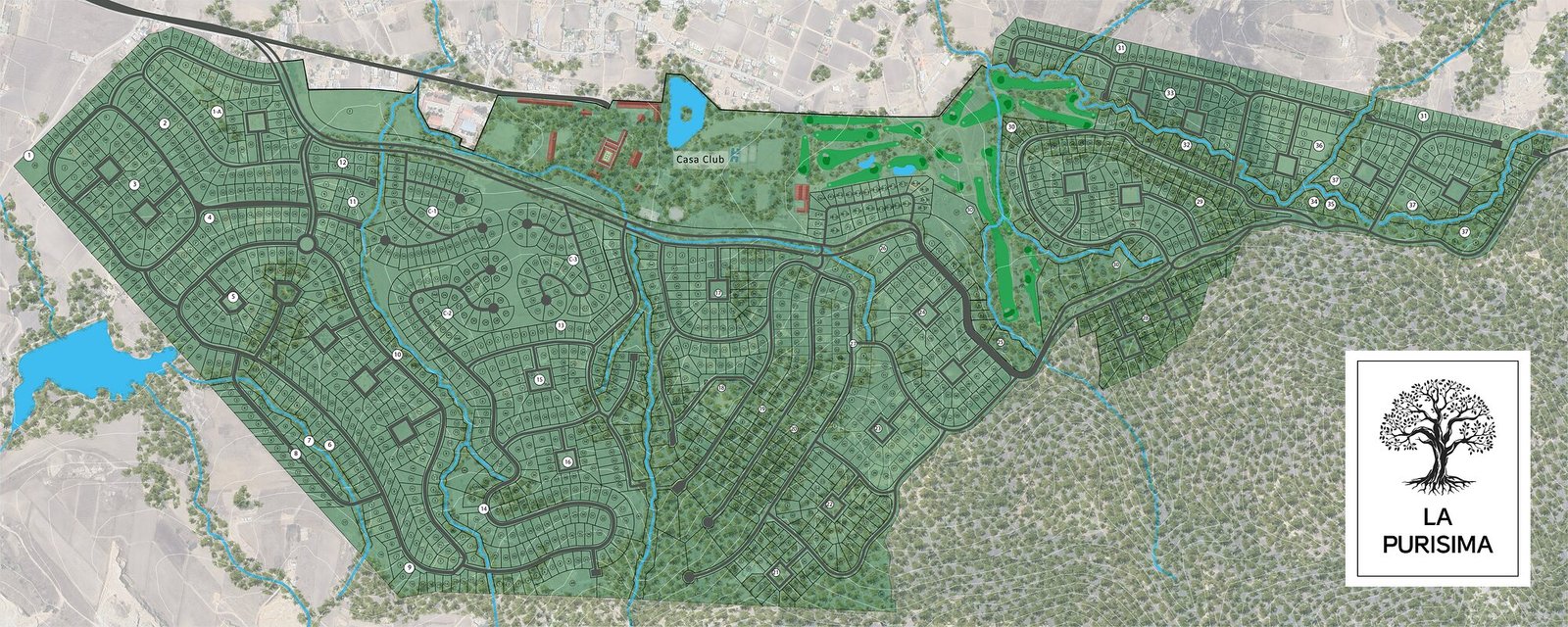 Plan maestro de La Purísima con la distribución de las 45 manzanas y sus lotes numerados, vialidades, campo de golf, casa club, lagos y áreas verdes